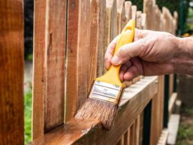 Staining your fence